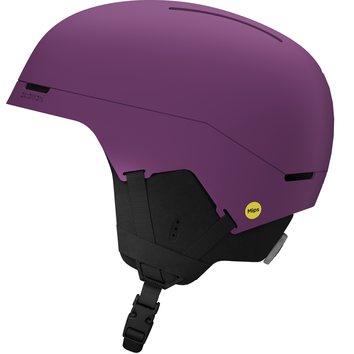BRIGADE INDEX MIPS