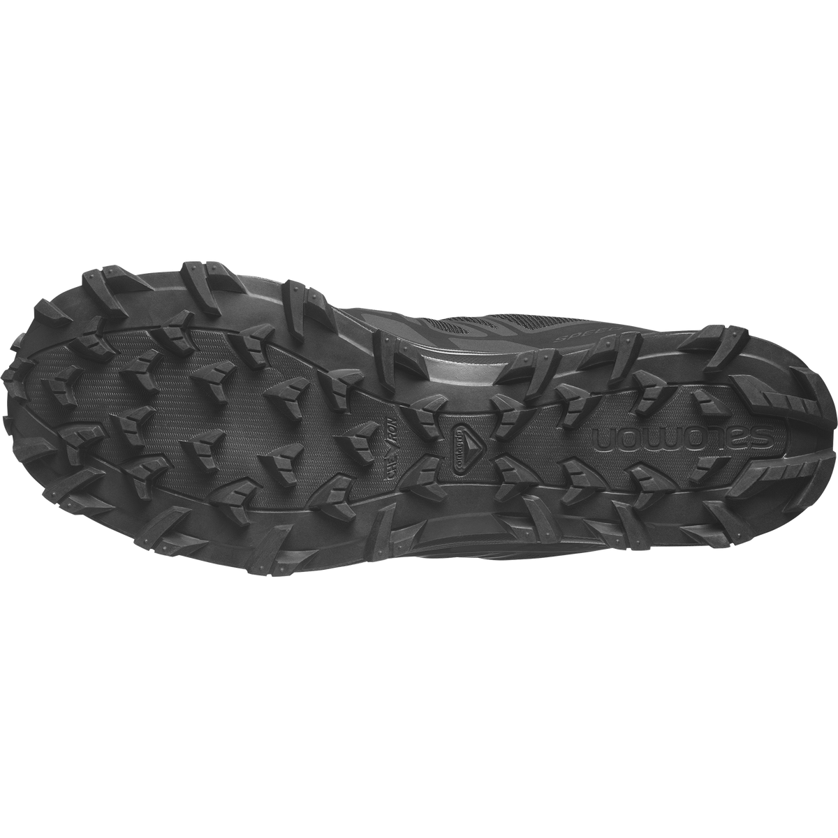 SPEED ASSAULT 2 GORE-TEX Main image