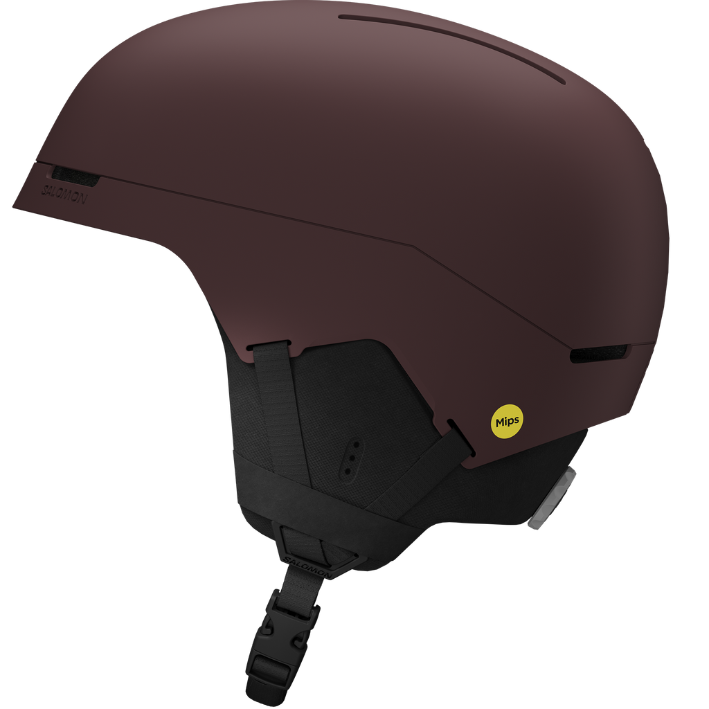 BRIGADE INDEX MIPS