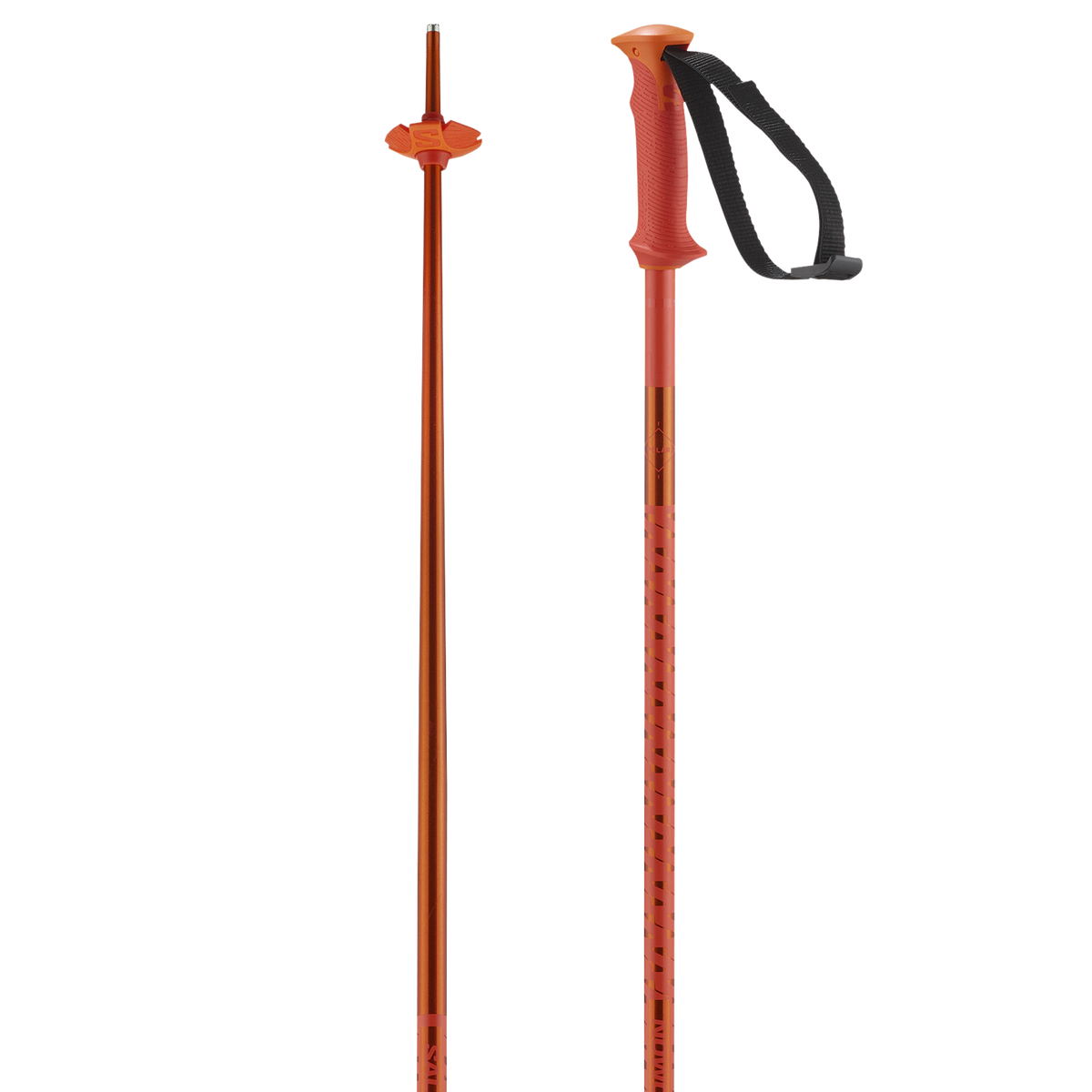 POLAR Main image