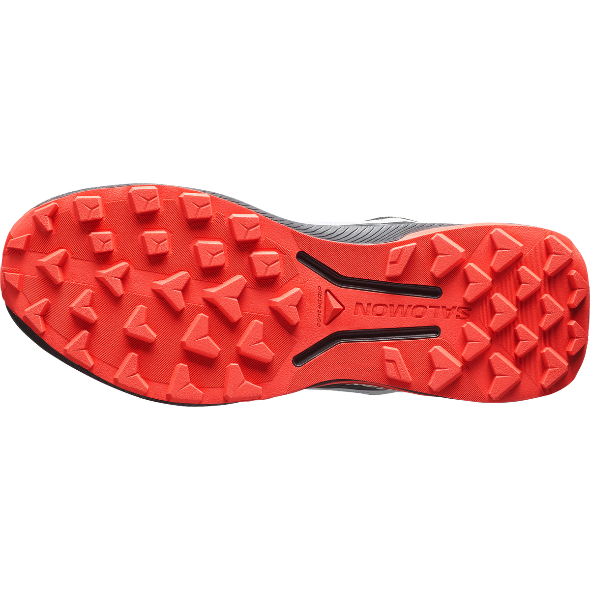 GENESIS 2 GTX Main image